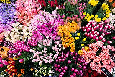 公布五年之后 开发商称《空洞骑士：丝绸之歌》仍在开发中